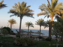 Попытка объективности