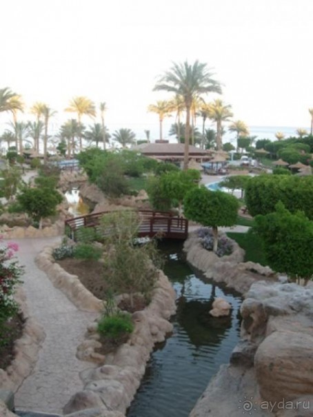 фото Renaissance Sharm El Sheikh Golden View Beach Resort