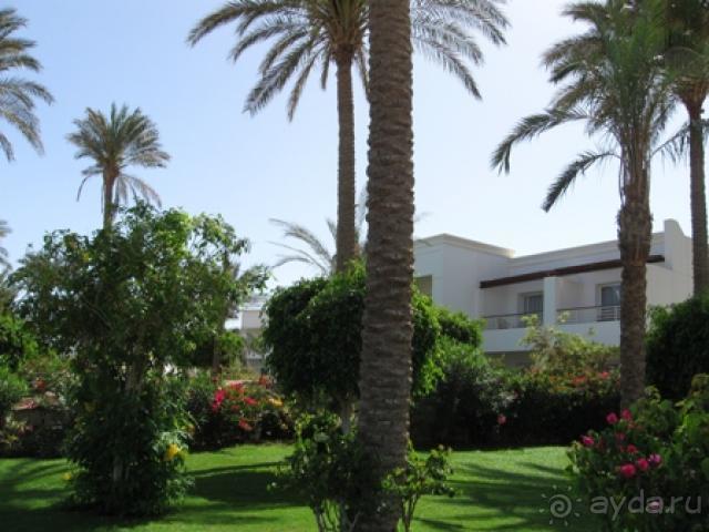 фото Renaissance Sharm El Sheikh Golden View Beach Resort