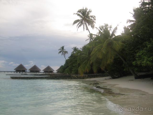 Индийский океан это супер,но 2-й раз в этот отель уже бы не поехала!