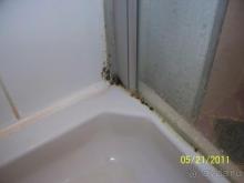 фото Мистраль