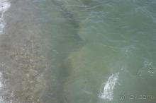 Отличный отдых!