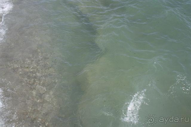 Отличный отдых!