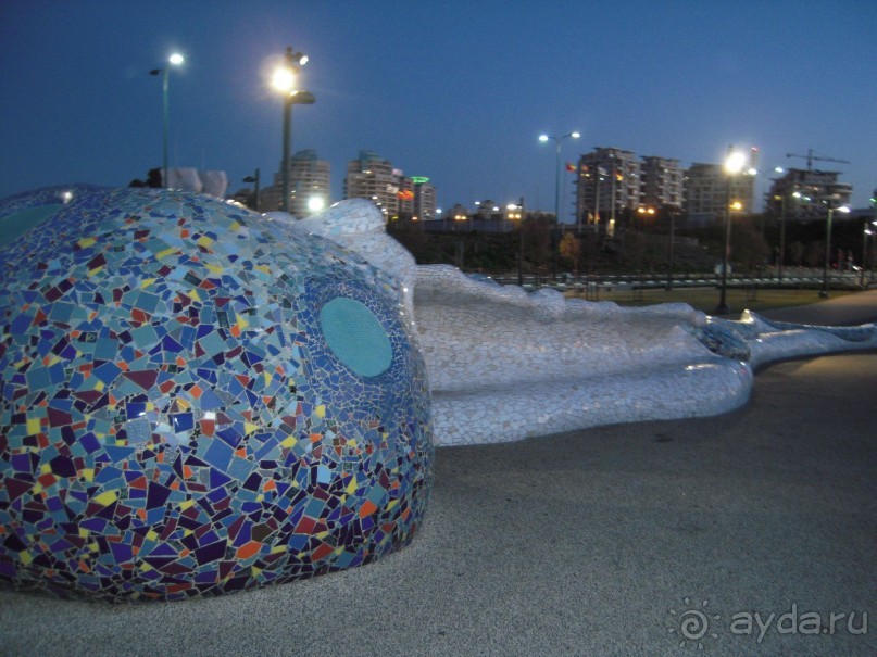 фото Carmel Netanya