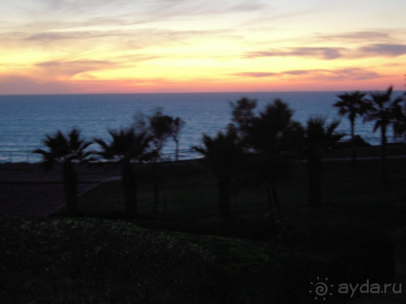 фото Carmel Netanya