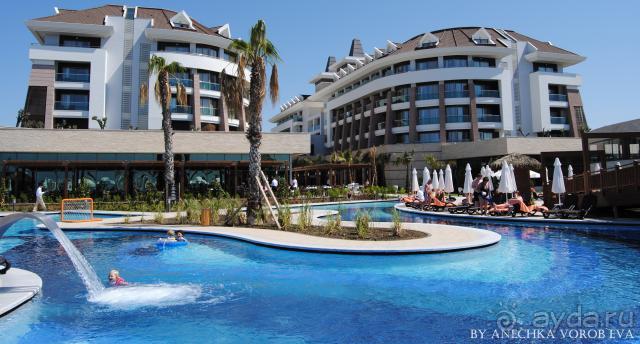 фото Плевен