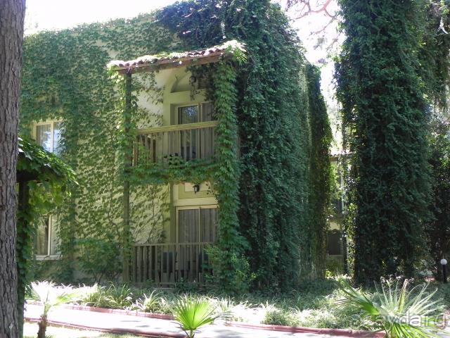 фото Софияпласт