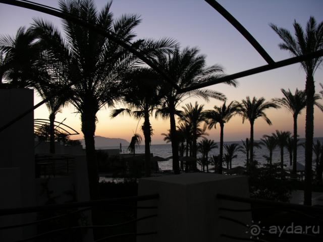 фото Grand Rotana Resort & SPA