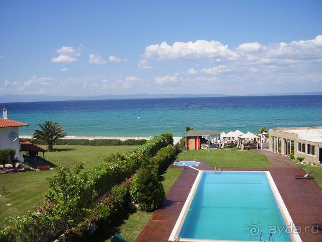 вид из номера отеля