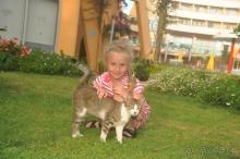 фото Горизонт