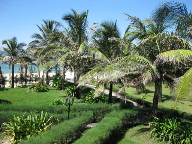 Вид из номера