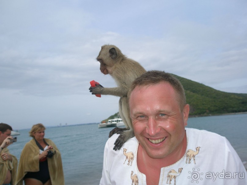 Прекрасный отель для  тихого уединенного отдыха