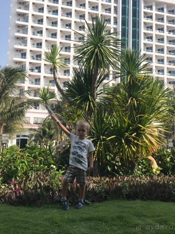 Отдых в отеле с ребенком 4,5 года