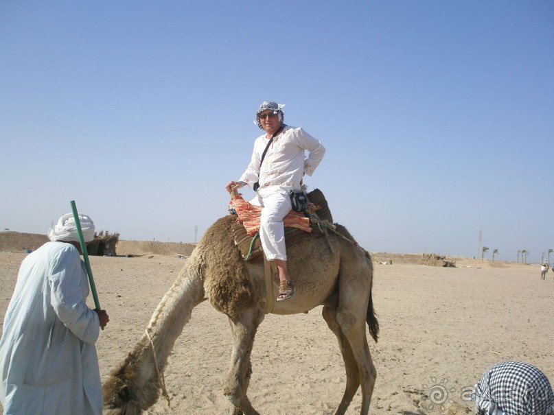 отдых в отеле Grand Plaza Хургада, Египет, 2011год