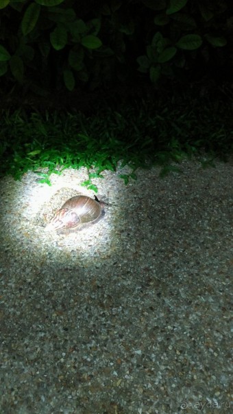 Прекрасный отдых с ребенком 3,5 года