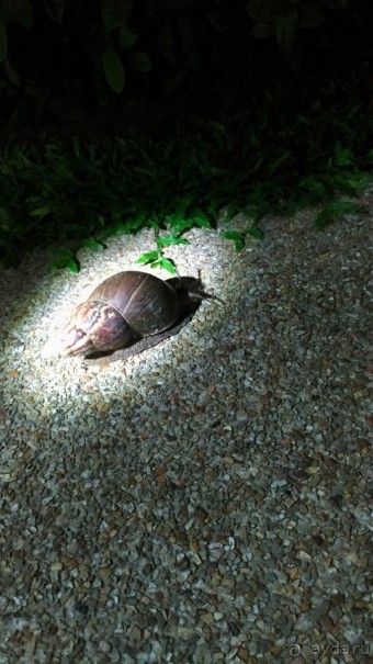 Прекрасный отдых с ребенком 3,5 года