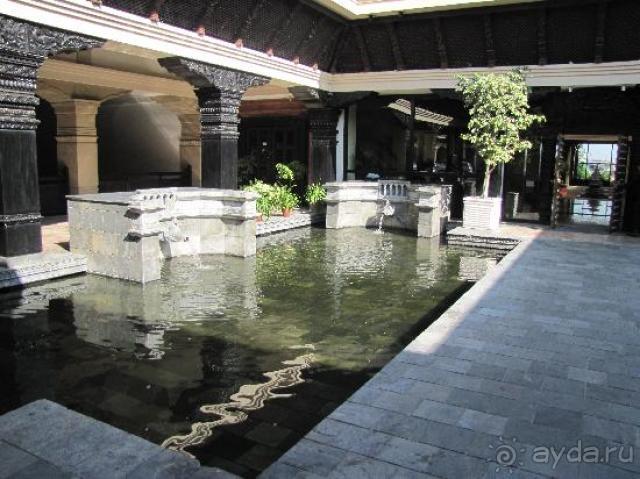 фото Магнолите