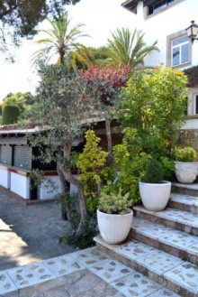 Маленькая сказка