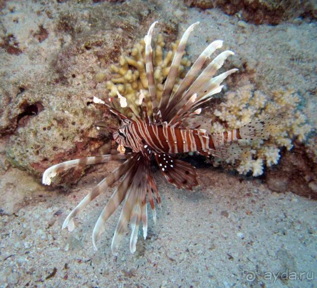 фото Тишина