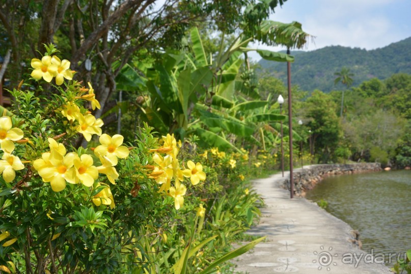 Великолепный отель для уединённого спокойного отдыха