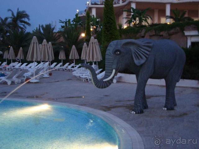 фото Starlight Resort Hotel