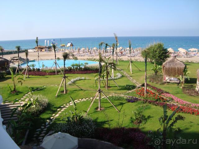 фото Атриум Бич