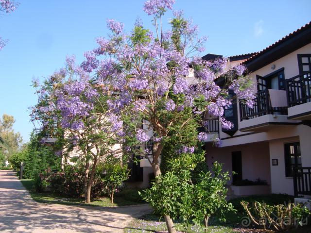 фото Атриум Бич