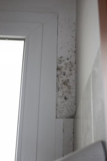 Ну что сказать?