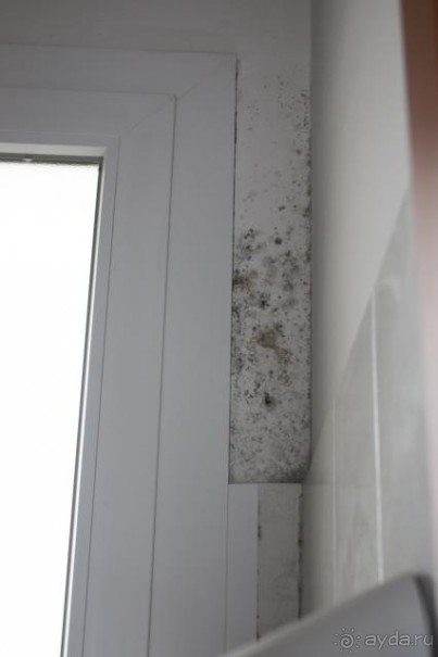 фото Laguna Albatros