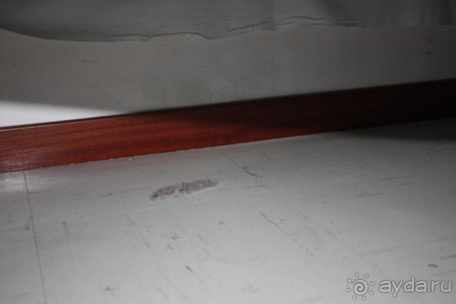 фото Laguna Albatros