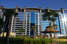 Если в Дубай, то только на Пальму!