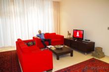 Если в Дубай, то только на Пальму!