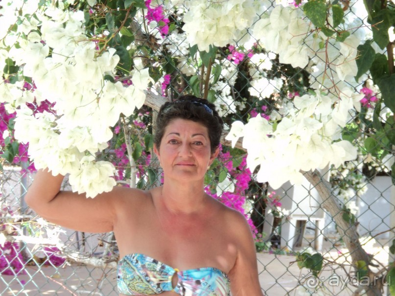 Снова Кипр и мой любимый отельчик Корфу!