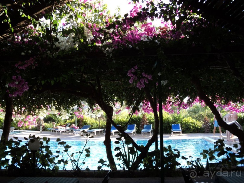 Снова Кипр и мой любимый отельчик Корфу!