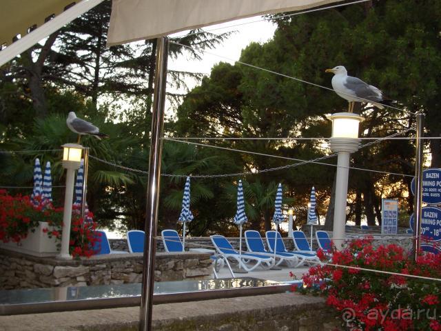 Оценивают что украсть