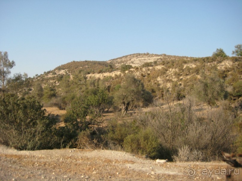 фото Nelia Gardens