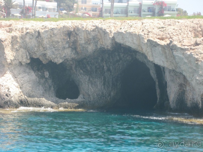 фото Nelia Gardens