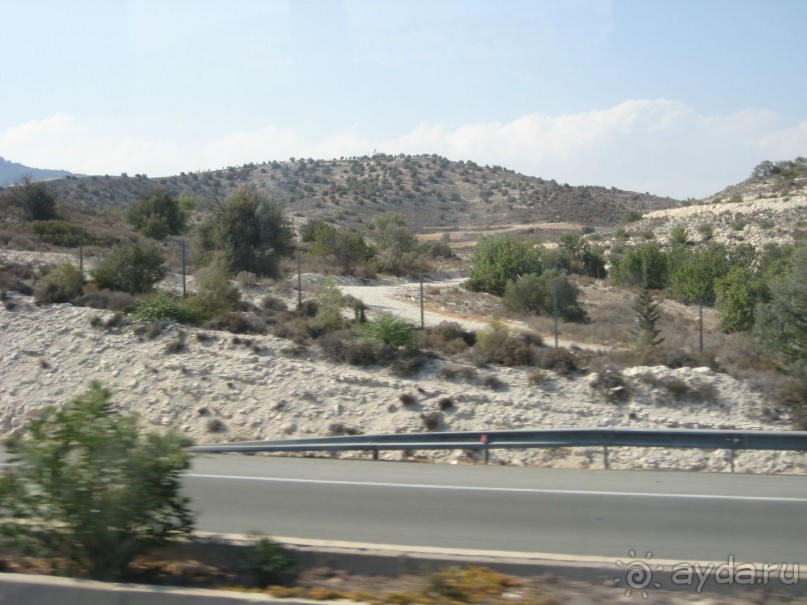 фото Nelia Gardens