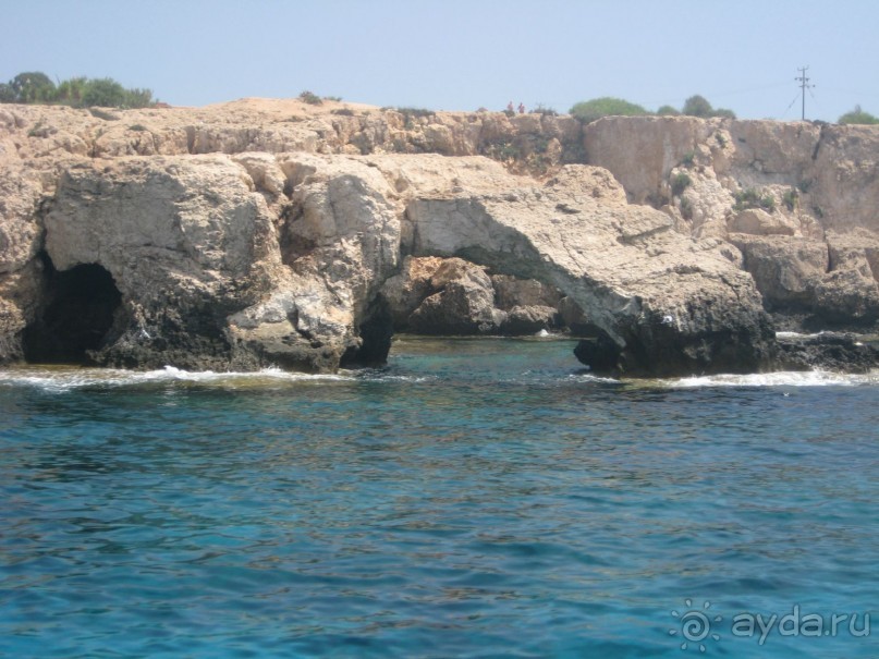 фото Nelia Gardens