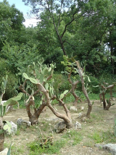 Тихий отель для спокойного отдыха