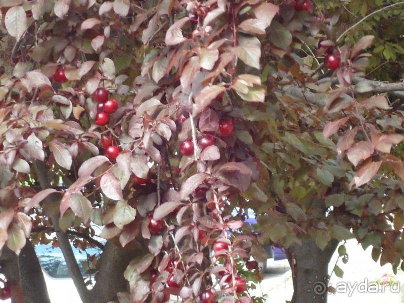 Тихий отель для спокойного отдыха