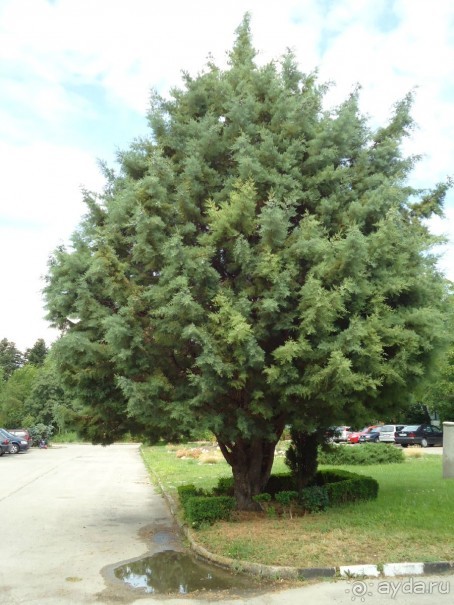 Тихий отель для спокойного отдыха