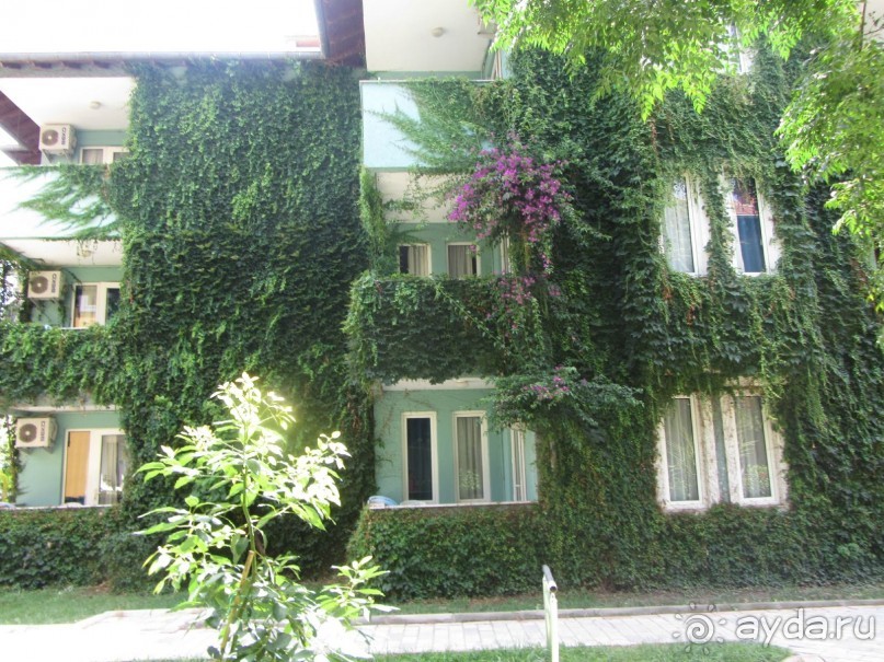 Прекрасный отдых, прекрасный отель!