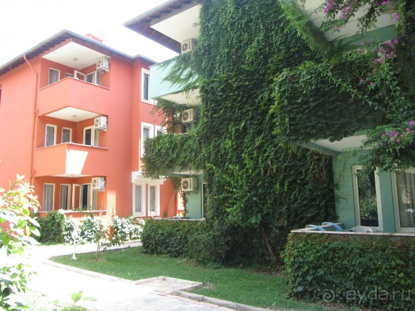 Прекрасный отдых, прекрасный отель!