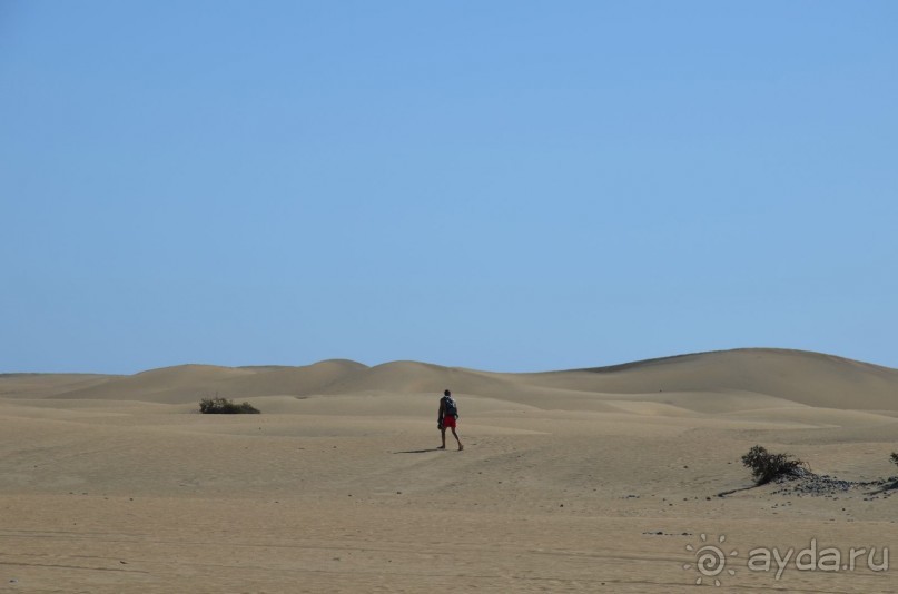 Отдых в отеле RIU Waikiki. Июнь 2013, Канары. 