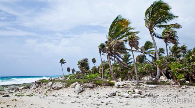 фото Long Beach Resort & SPA