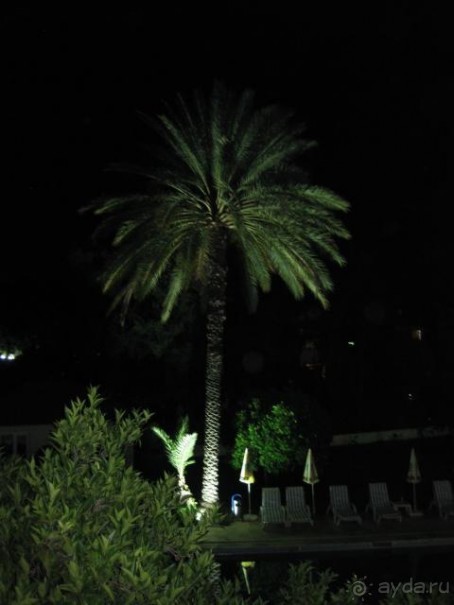 отель мера г.Кемера, безопасный, уютный, хорошая сблансированная еда.