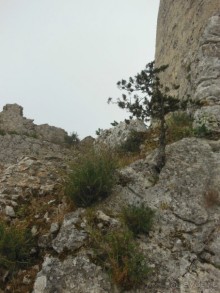 Альбом рассказа "Наш семейный отдых на Северном Кипре -2"