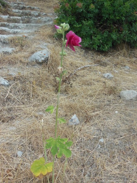 Наш семейный отдых на Северном Кипре -2