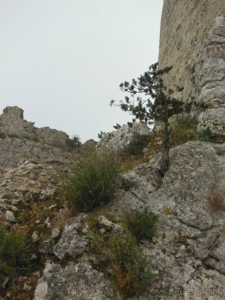 Наш семейный отдых на Северном Кипре -2